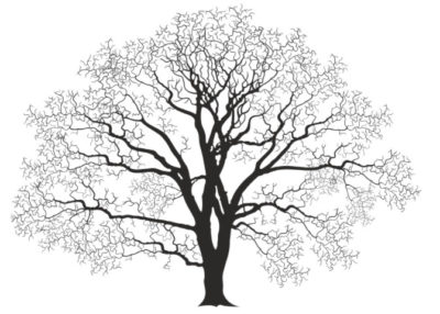 голое дерево