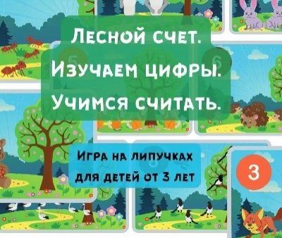 лесной счет -книжка на липучках