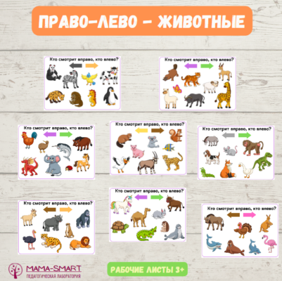 право лево животные